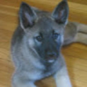 Meet your Posher, Camille